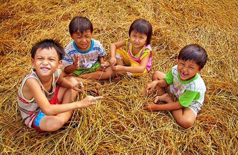 Hương rạ ngày mùa