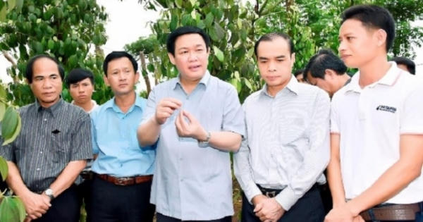 Phó Thủ tướng Vương Đình Huệ thị sát tỉnh Gia Lai