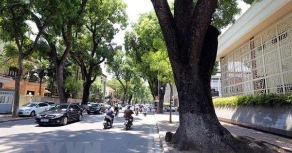 Nắng ấm ở miền Bắc, xâm nhập mặn giảm dần ở Đồng bằng sông Cửu Long