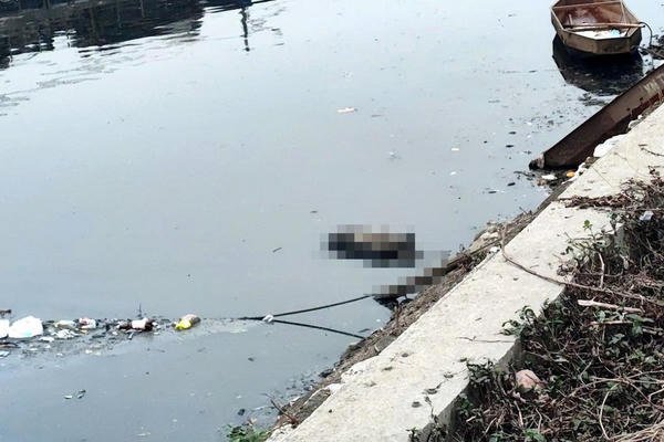 Phát hiện thi thể nam giới đang phân hủy dưới mương nước nhà máy xử lý nước thải ở Hà Nội