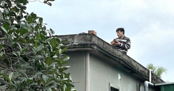 Bắt đối tượng ngáo đá lái xe lạng lách, trèo lên mái nhà la hét