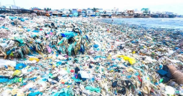 Sự đớn đau của những chú rùa biển và lời kêu gọi của Thủ tướng Nguyễn Xuân Phúc Sự đớn đau của những chú rùa biển và lời kêu gọi của Thủ tướng Nguyễn Xuân Phúc