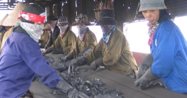 TKV phải báo cáo việc làm kỷ niệm chương hết 70 tỉ đồng