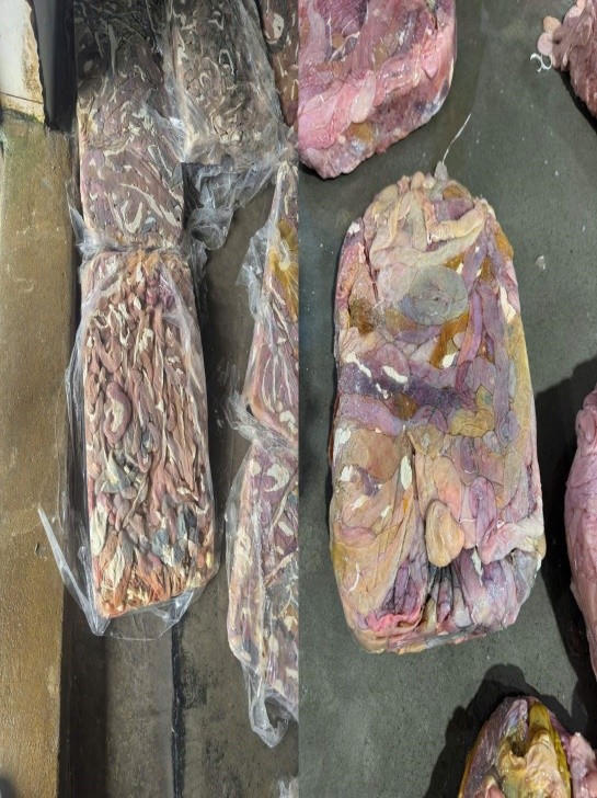 Phát hiện cơ sở trữ, chế biến hàng chục tấn lòng lợn không rõ nguồn gốc tại Hà Nội Phát hiện cơ sở trữ, chế biến hàng chục tấn lòng lợn không rõ nguồn gốc tại Hà Nội