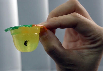 Chuyên gia cảnh báo nguy cơ mắc bệnh khi ăn phải thạch chứa dị vật