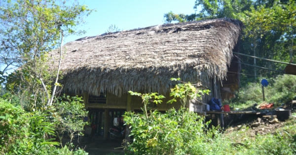 Hoàn cảnh éo le của gia đình có 3 đứa con bị bệnh máu trắng