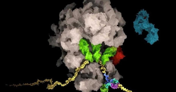 Giới khoa học Thụy Sĩ tìm ra 'tử huyệt' của virus SARS-CoV-2