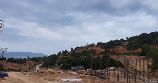 Vì sao Đà Nẵng tạm 'đóng băng' giao dịch bất động sản ở Sơn Trà?