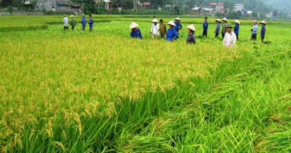 Chuyển mục đích sử dụng đất 2 tỉnh Bắc Giang và Bắc Ninh