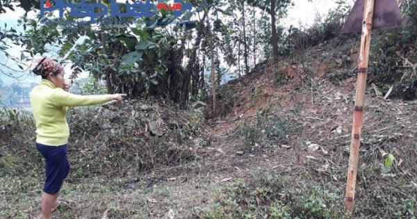 Hà Giang: Bắt giữ đối tượng trộm hàng loạt con trâu