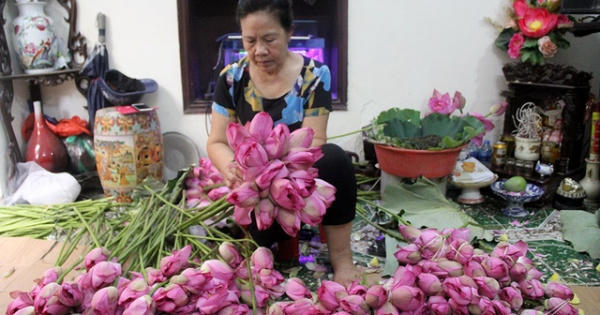 "Thiên hạ đệ nhất trà" 10 triệu đồng/kg, uống ngụm nào chất ngụm đấy