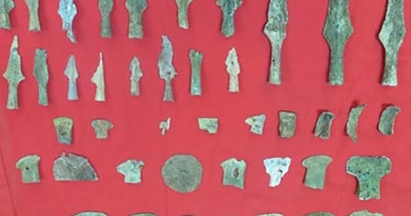 Nam Định: Tiếp nhận nhiều cổ có vật giá trị đặc biệt