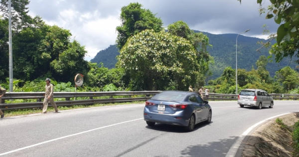 Lâm Đồng: Phát hiện thi thể người đàn ông trong giai đoạn phân hủy