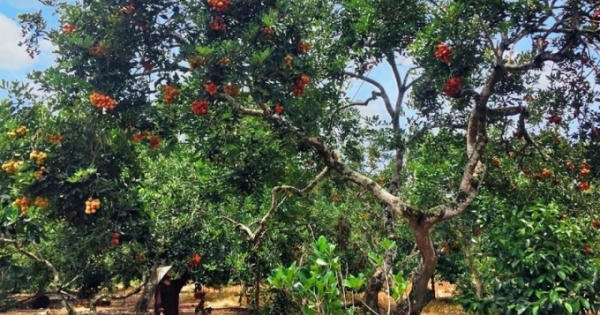 Nông dân hứng khởi xây dựng nông thôn mới kiểu mẫu