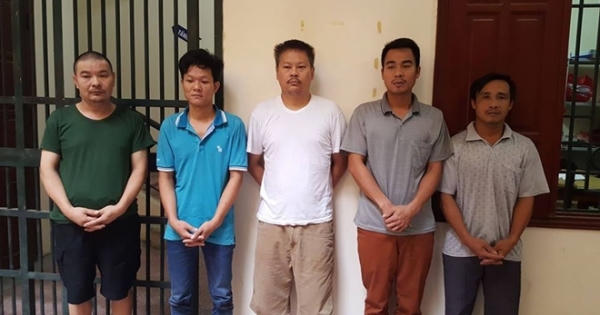Hà Nội: Mua hổ sống 1 tỷ đồng từ Nghệ An mang ra Hà Nội nấu cao