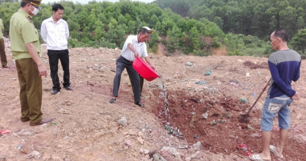 Quảng Ninh: Bắt giữ và tiêu hủy 350 kg cá trê giống không rõ nguồn gốc