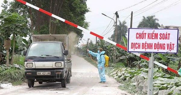 Thủ tướng chỉ đạo quyết liệt phòng, chống bệnh dịch tả lợn châu Phi