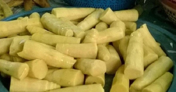 Quảng Nam phát hiện hơn 400kg măng tươi muối bằng chất cấm