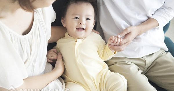 Hướng dẫn thủ tục nhận nuôi con nuôi từ con của em gái?