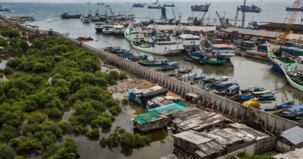 Jakarta, thành phố đang chìm dần xuống mặt nước