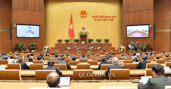 Trông đợi quyết sách từ nghị trường