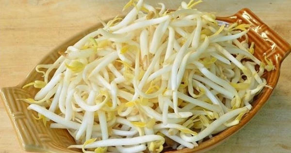 Những người nào phải tuyệt đối không ăn giá đỗ vì cực độc Những người nào phải tuyệt đối không ăn giá đỗ vì cực độc