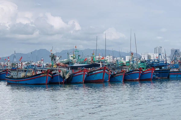 Quyết tâm gỡ cảnh báo “thẻ vàng” đối với thủy sản Việt Nam