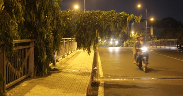 TP HCM: Người đàn ông chết bất thường trên cầu Hoàng Hoa Thám