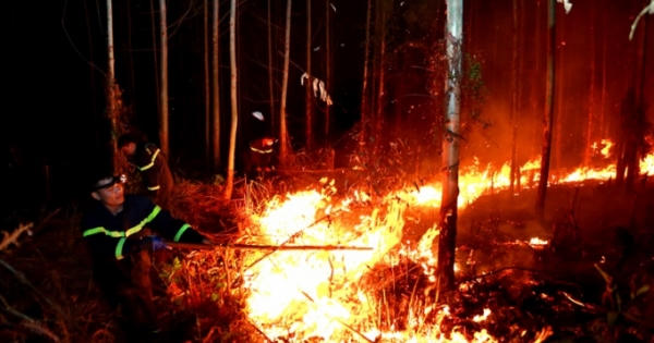 “Bà hỏa” bao trùm gần 10 ha rừng trồng ở Vĩnh Phúc