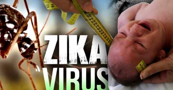 Số người nhiễm Zika tại TP HCM tiếp tục tăng