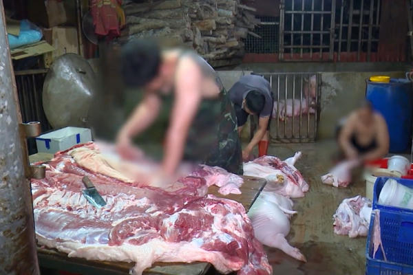 Tây Ninh siết chặt kiểm dịch, kiểm soát giết mổ bảo đảm an toàn thực phẩm dịp cận Tết Nguyên đán