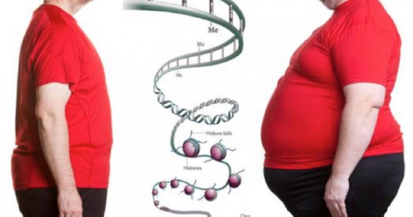 Phát hiện một loại gene giúp bạn 'ăn mãi không béo' Phát hiện một loại gene giúp bạn 'ăn mãi không béo'