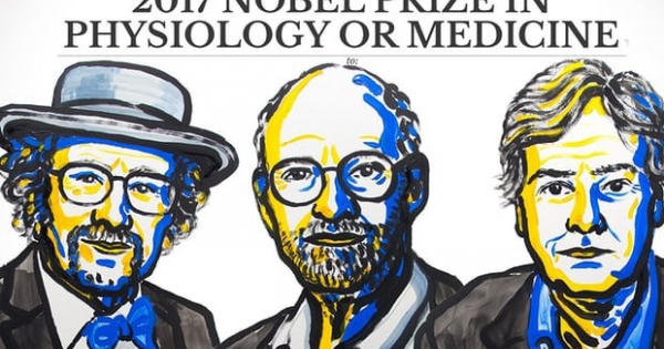 Mùa giải Nobel chính thức khởi động