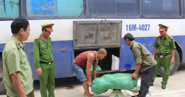 500kg thực phẩm hôi thối suýt được tiêu thụ ở Thanh Hóa 500kg thực phẩm hôi thối suýt được tiêu thụ ở Thanh Hóa