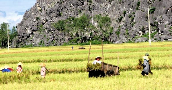Thanh Hóa: Yên Định trở thành huyện đầu tiên đạt chuẩn nông thôn mới
