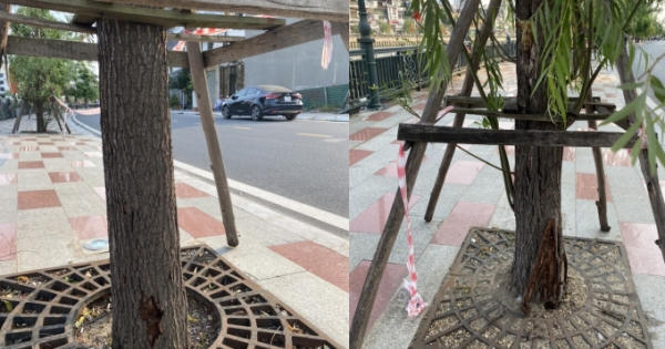 Hải Phòng: Vỉa hè sông Tam Bạc bị cong vênh do điều kiện thiên nhiên khắc nghiệt