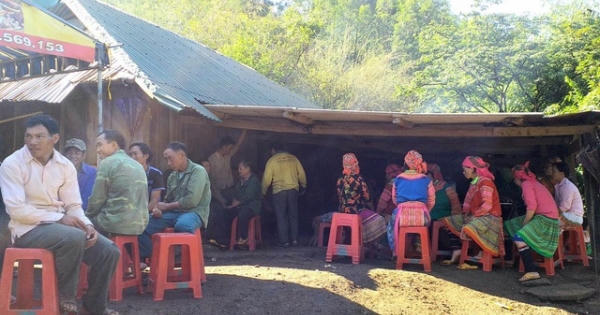 Hai vợ chồng bị sét đánh thương vong khi trú mưa dưới gốc cây cổ thụ