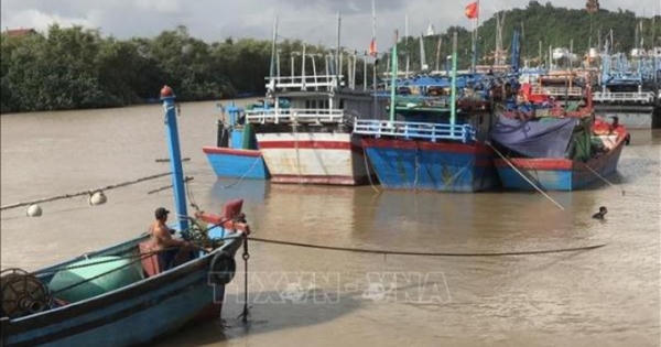 Bản lĩnh trước bão