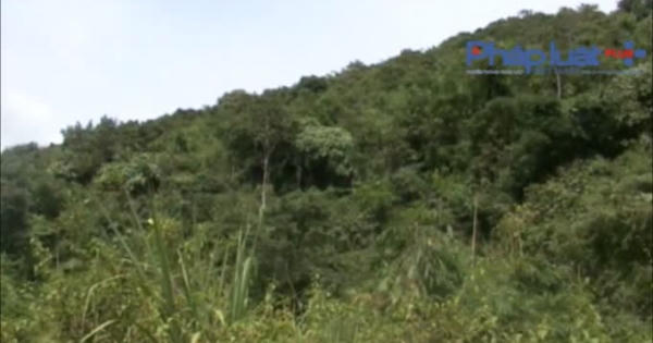 Tìm thấy nam thanh niên sau 4 ngày đi lạc trong rừng