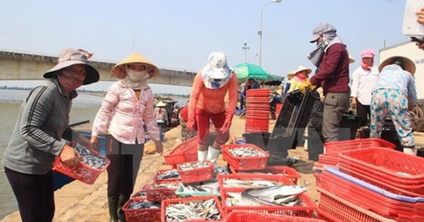Khởi tố cán bộ thôn 'vòi tiền' để làm hồ sơ đền bù vụ sự cố Formosa