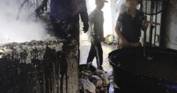 Sẽ 'bêu tên' cơ sở làm sạch lông vịt bằng nhựa thông