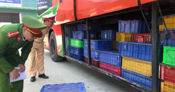 Kiểm tra xe khách phát hiện hơn 5 tấn động vật quý hiếm dưới gầm xe