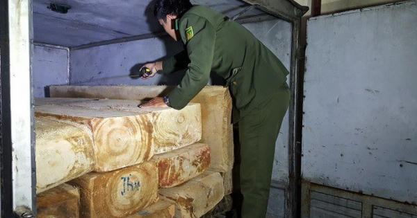 Lâm Đồng: Bắt xe ô tô cùng 15 phách gỗ quý đang trên đường đi tiêu thụ