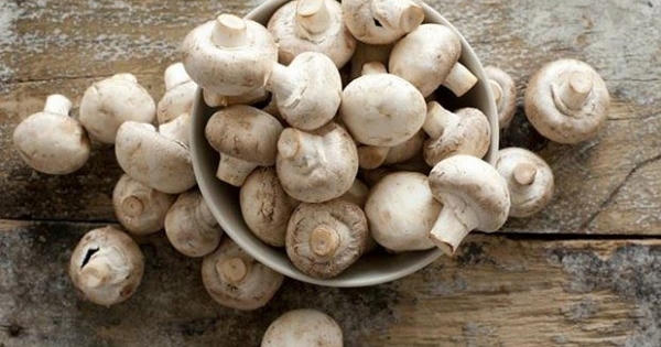 Ăn nấm đều đặn có thể làm tăng nhận thức ở người