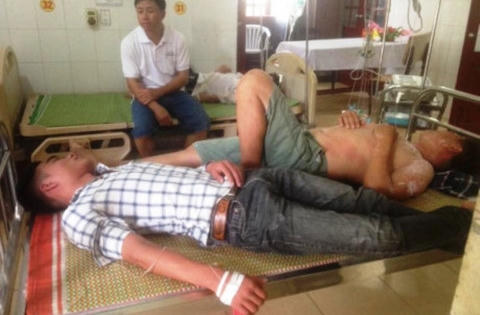 Bị đàn ong rừng tấn công, 15 người nhập viện