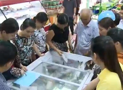 Hà Tĩnh: Các điểm bán hải sản sạch hút khách Hà Tĩnh: Các điểm bán hải sản sạch hút khách