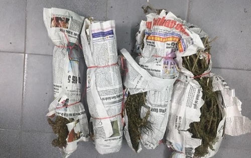 Bắt giữ đối tượng vận chuyển số lượng lớn cần sa được nguy trang trong thùng hoa quả