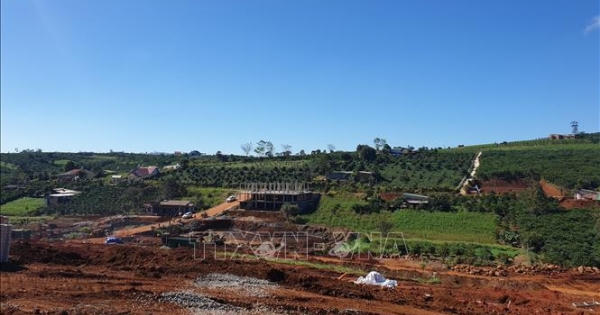 Lâm Đồng: Đình chỉ công tác nhiều cán bộ có dấu hiệu buông lỏng quản lý đất đai