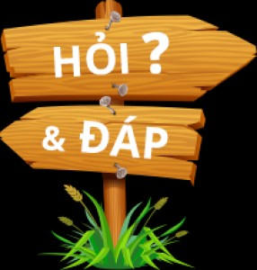 Phương tiện tham gia giao thông liên quan đến tai nạn giao thông gây chết người xử lý như thế nào?