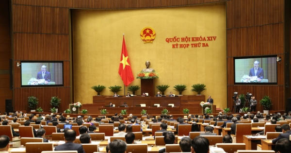 Điểm danh hàng loạt địa phương “lạm dụng” bổ nhiệm người nhà